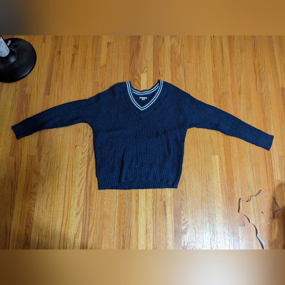 AEO blue v neck sweater